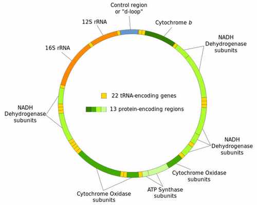 Рис. 1. Остатки былого величия