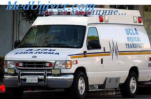 молекулы адгезии