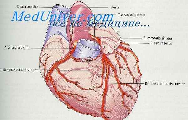 коронарный атеросклероз