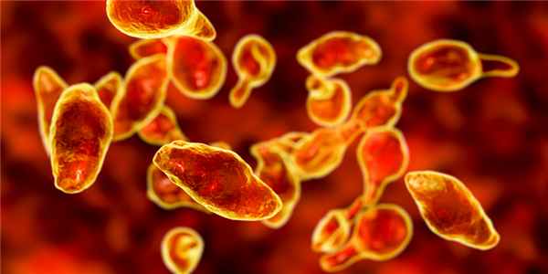 Под микроскопом.jpg