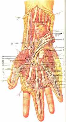 periferia topografia.jpg