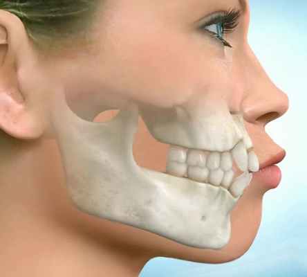 Пропорции лица и аномалии прикуса