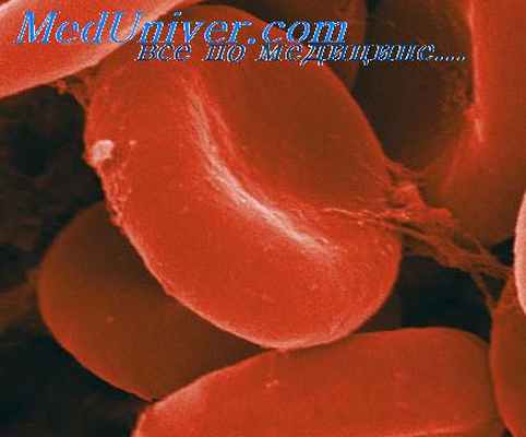 эритропоэз