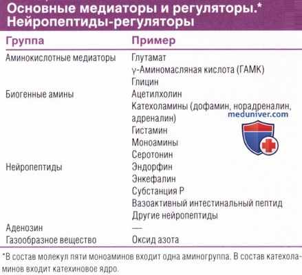 Нейромедиаторы