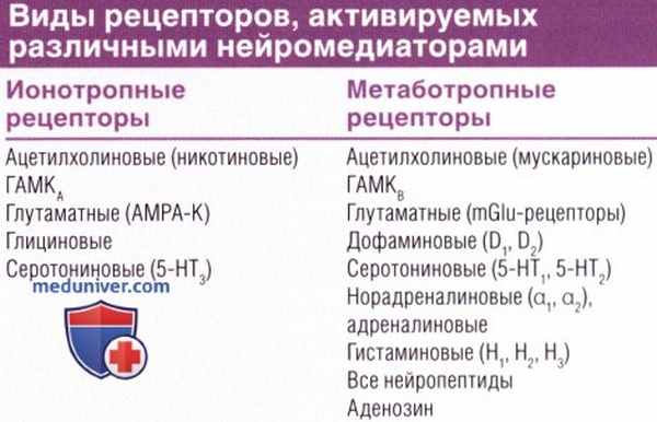 Рецепторы нейромедиаторов