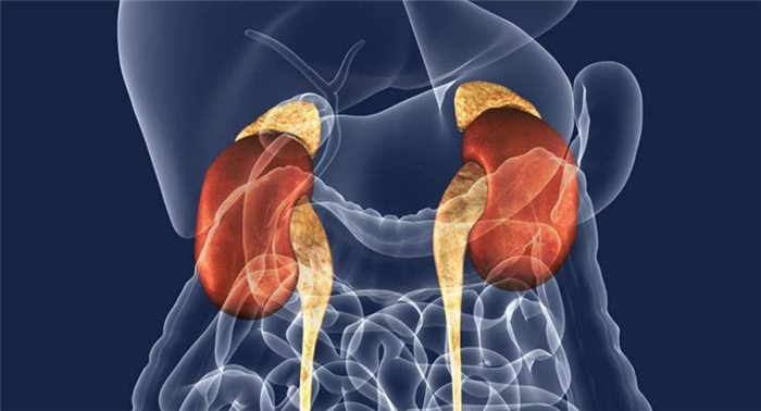 Метастазы надпочечников