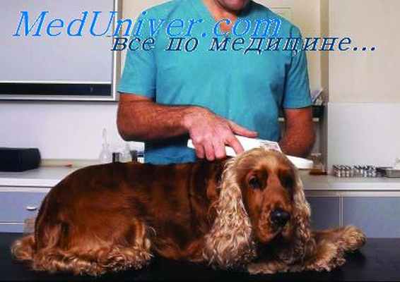 обморок при травме