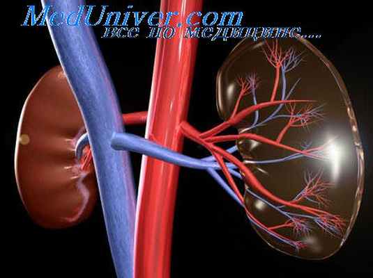 бифуркация аорты