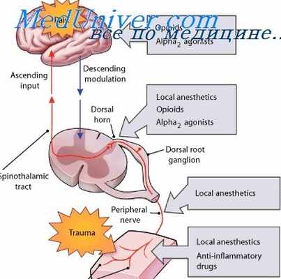 опиоидные анальгетики