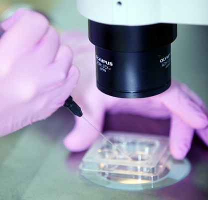 Предимплантационная генетическая диагностика