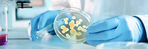 Опухолевые маркеры