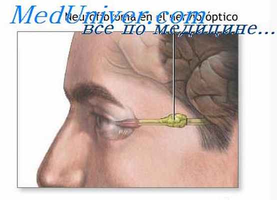 симпатические ганглии
