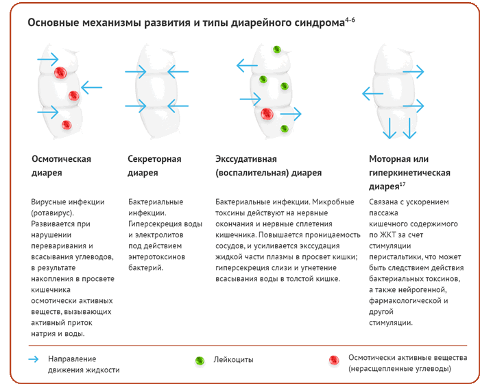 Основные механизмы развития и типы диарейного синдрома