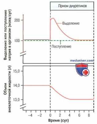 Осмотические диуретики. Петлевые диуретики