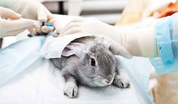 Специалист по экзотическим животным