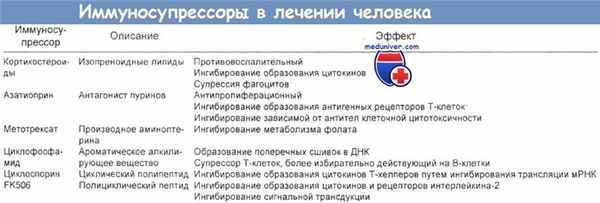Иммуносупрессоры в лечении человека