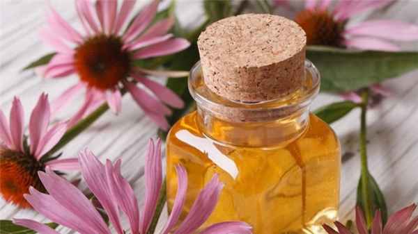 Противопоказания при применении лекарственных трав