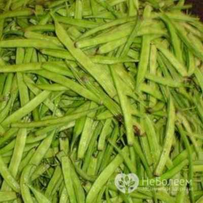 Гуаровая камедь производится из семян растения Гуар