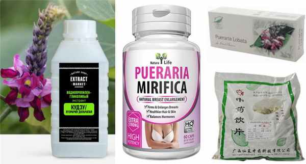 использование цветков и листьев пуэрарии дольчатой