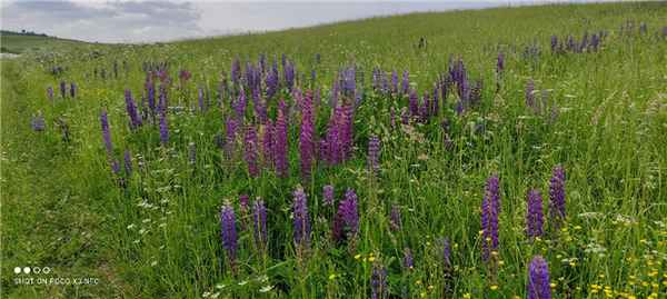 Фото биолога сообщества Фанерозой, Евгения Будько