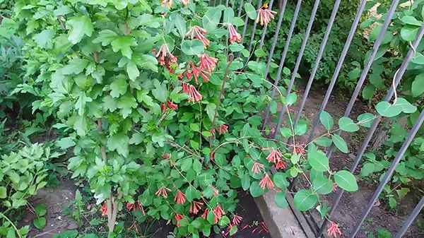 interesnyh-fotografij