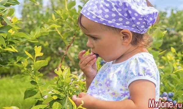Опасная красота: ядовитые растения на даче