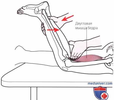 Пальпация коленного сустава сзади