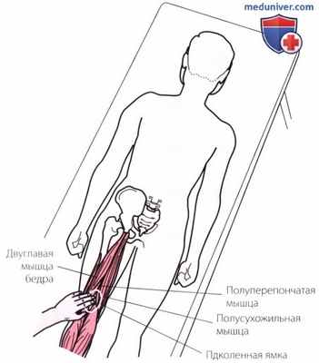 Пальпация коленного сустава сзади