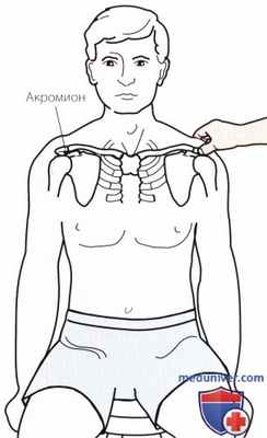 Пальпация плечевого сустава спереди