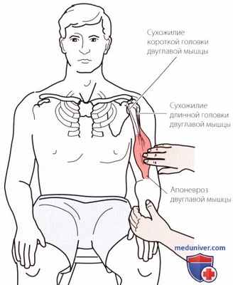 Пальпация плечевого сустава спереди