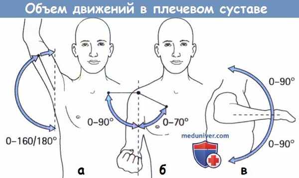 Объем движений в плечевом суставе