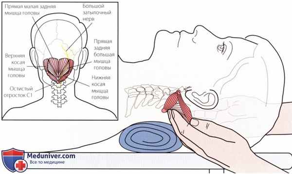 Пальпация височно-нижнечелюстного сустава сзади