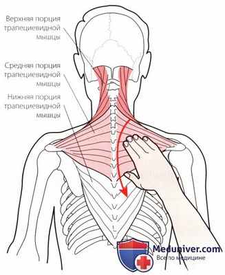 Пальпация височно-нижнечелюстного сустава сзади