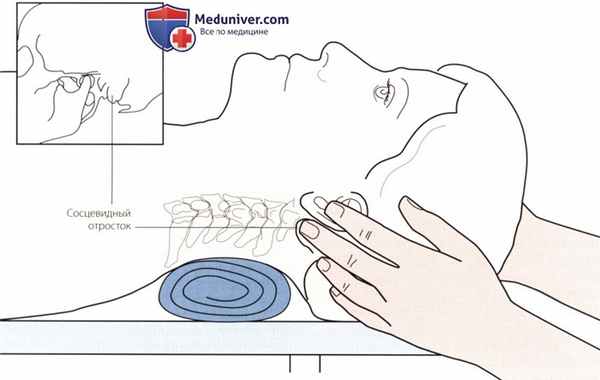 Пальпация височно-нижнечелюстного сустава сзади