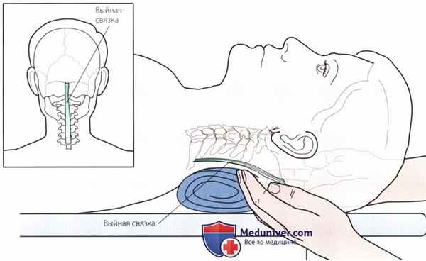 Пальпация височно-нижнечелюстного сустава сзади