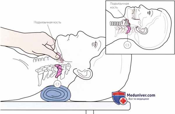 Пальпация костей, хрящей шеи и грудной клетки спереди