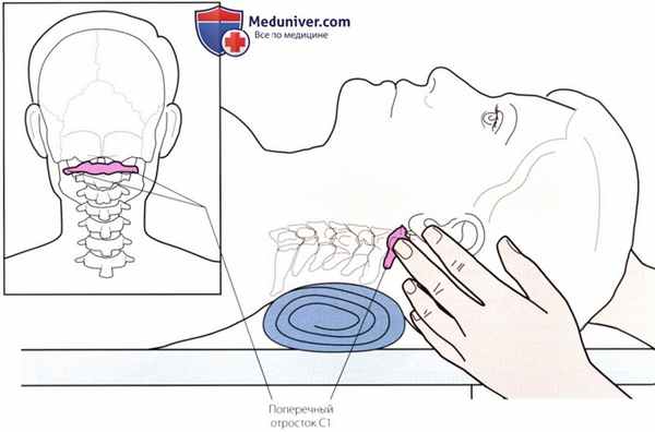 Пальпация височно-нижнечелюстного сустава сзади