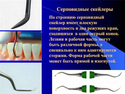 Серповидные скейлерыПо строению серповидный скейлер имеет плоскую поверхность и два режущих края, сходящихся в один острый конец.