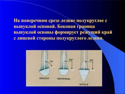 На поперечном срезе лезвие полукруглое с выпуклой основой. Боковая граница выпуклой основы формирует режущий край с лицевой