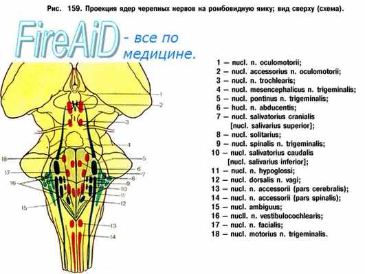 ядра глазодвигательных нервов - паралич взора