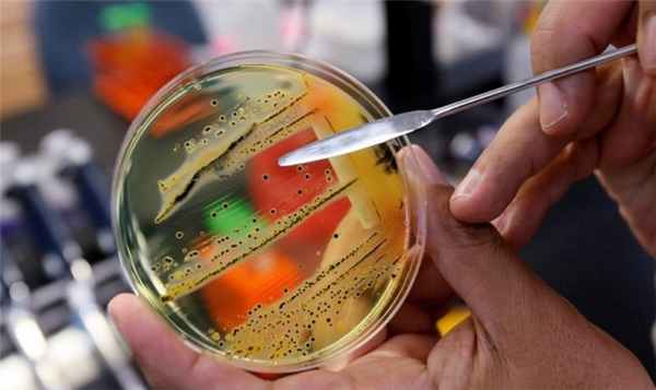 Сальмонеллез