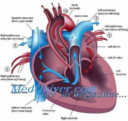 сердечная недостаточность