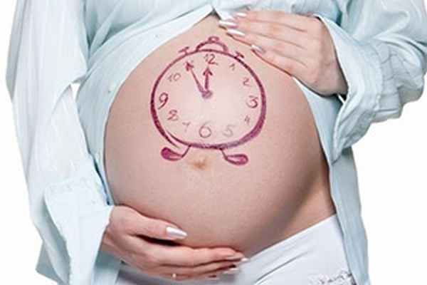 Аллегория на сроки беременности