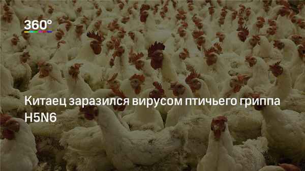 Американцы гибнут от пожирающей мозг водной амебы. Можно ли спастись от невидимой угрозы? | Изображение 4