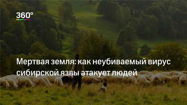 Американцы гибнут от пожирающей мозг водной амебы. Можно ли спастись от невидимой угрозы? | Изображение 3