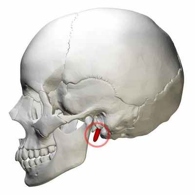 каналы височной кости таблица