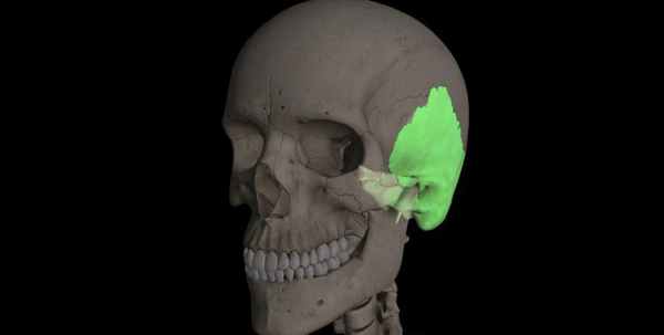 каналы и полости височной кости