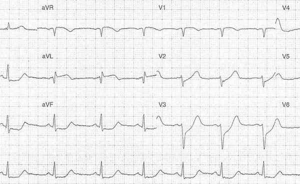 Курсы по патологической физиологии