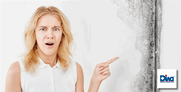 Фото - Аллергия на плесень