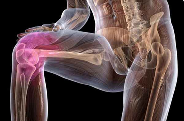 УЗИ коленных суставов